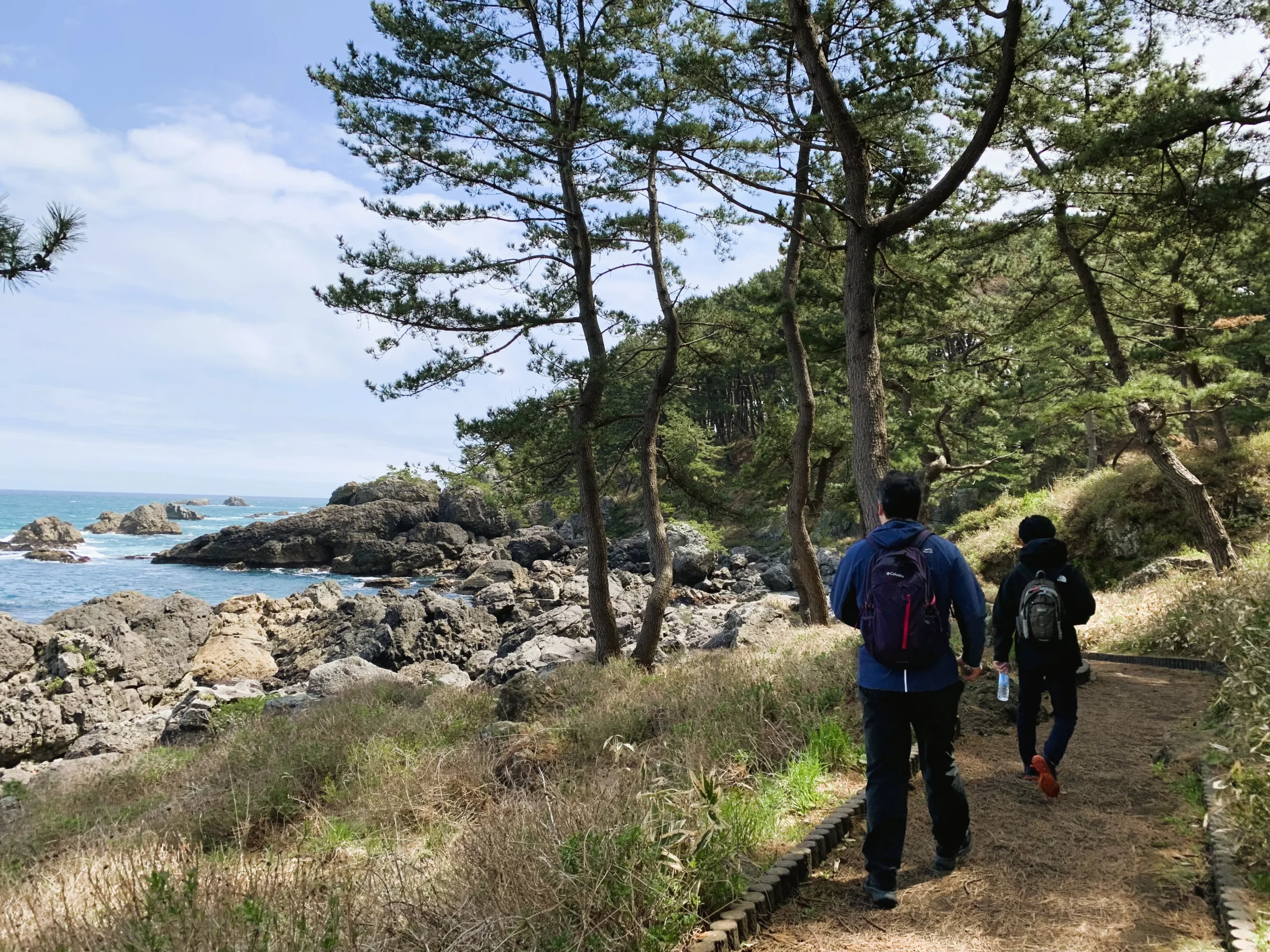 みちのく潮風トレイル（淀の松原）